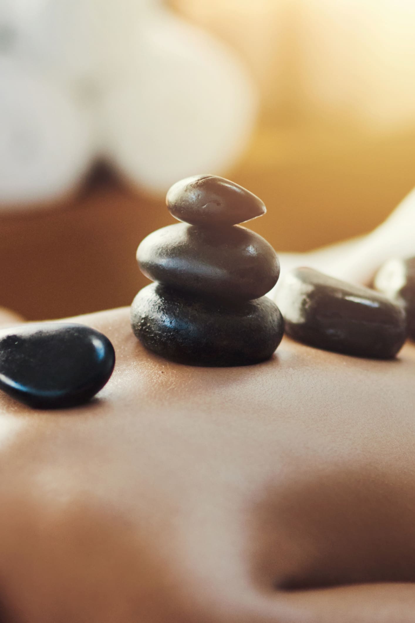 a close up of a mouse